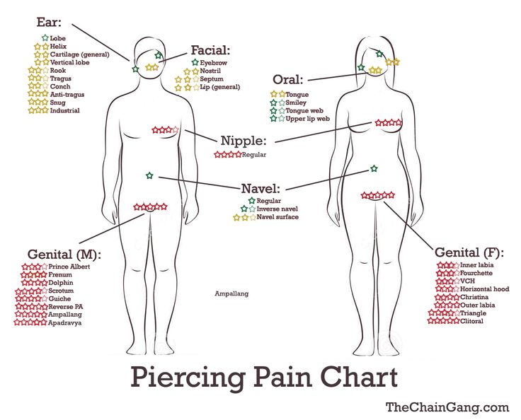 Body Piercing Chart